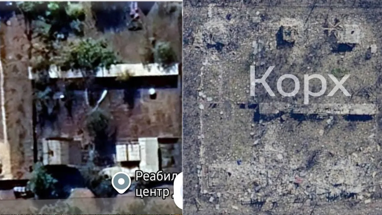 Притулок для тварин Дар’ї Корх у Покровську